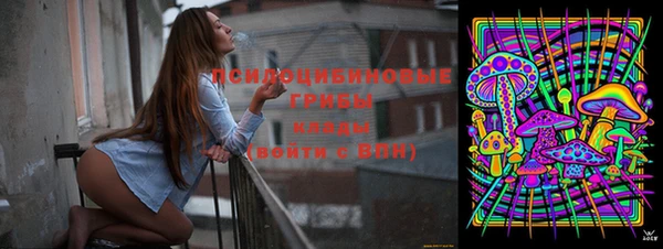 гидропоника Карталы