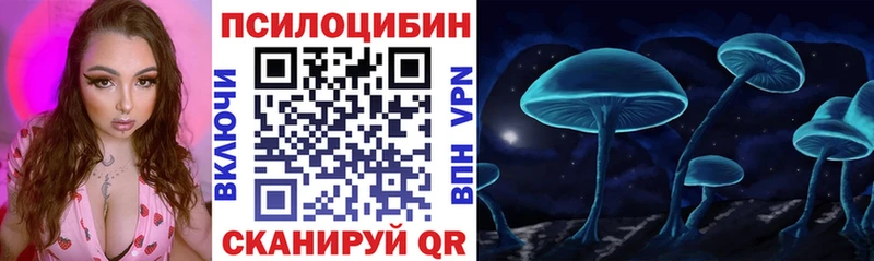 Купить  Рославль  Галлюциногенные грибы Psilocybe 